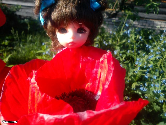 Манюнькино лето-1 PukiFee Ante (фото 4)