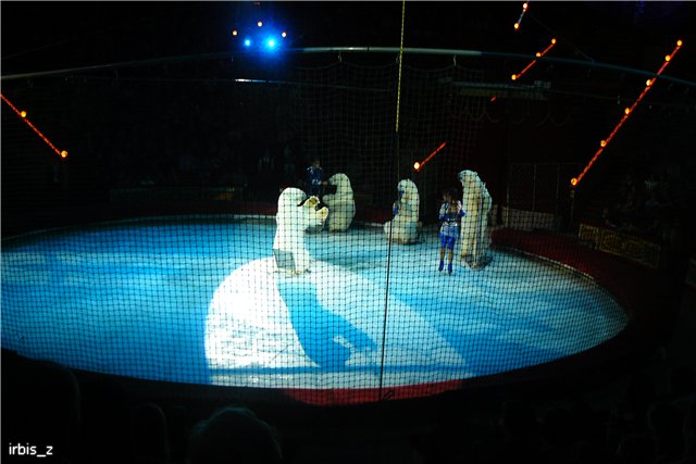 Вот так чудеса или как Ариэль в Большой Московский Цирк ходила. PukiFee Ante Ариэтти, PukiFee Bonnie Ариэль