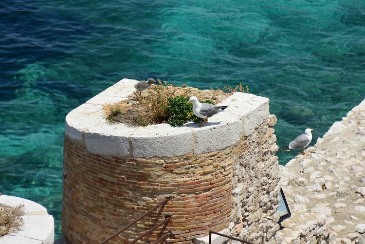 Ницца, Марсель, море и горы