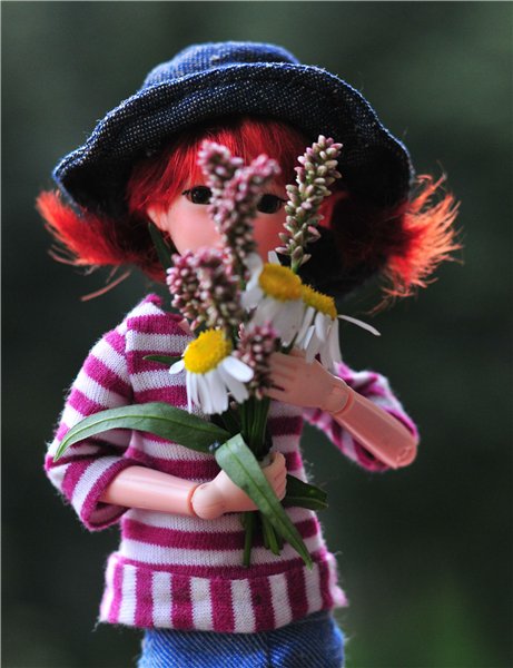 Велик, Мурзик и цветы — Куклы и тела Obitsu (Обитсу): 1/6 (фото 8)