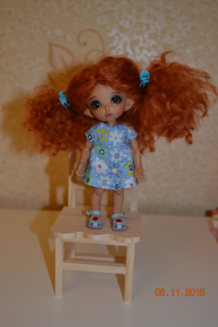 Такие чудные ПукиФи - наш новый член семьи (фото 5)