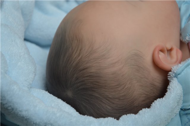 Подарок с севера. Добавлены новые фотографии (фото 7)