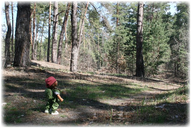 Небольшой поход Вихтелят на Ирдынские болота
