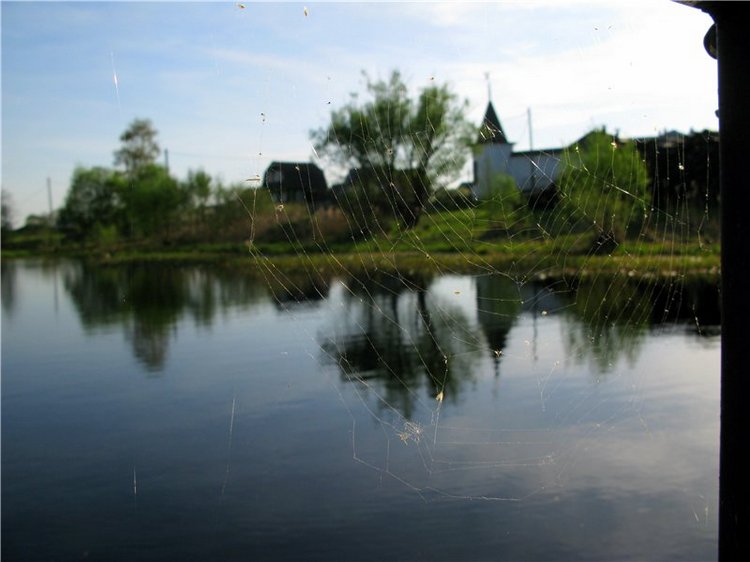 Прогулка с Райли. Riley от автора Helen Kish