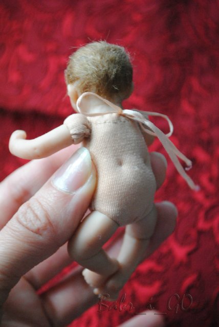 Малый формат. Кроха голубых кровей (фото 4)