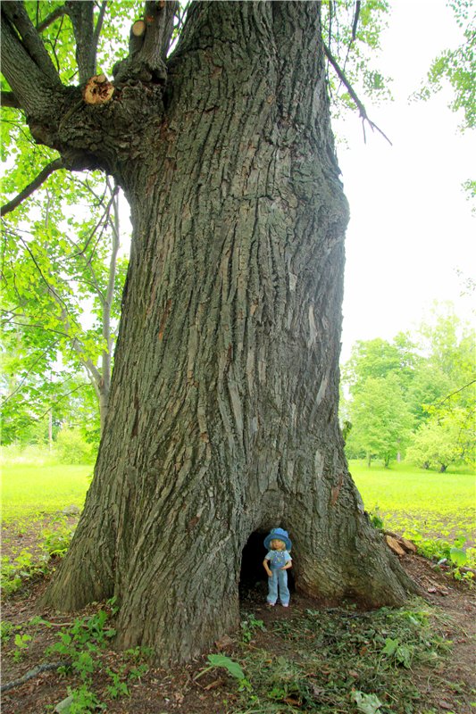 46-ой Пушкинский праздник поэзии в Берново. Часть первая
