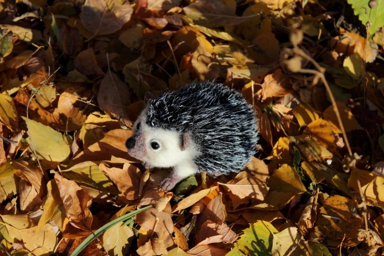 Ежуня. Валяние из шерсти — Валяные игрушки из шерсти: сухое валяние (фото 4)