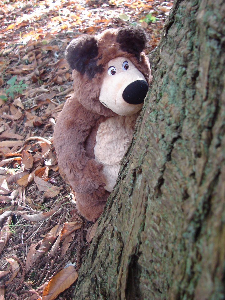 Одну Машку беру,на вторую смотрю,третью замечаю,а четвертая мерещется