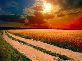 Под алыми вернусь я парусами к тебе, моя любимая Ассоль! (По следам конкурса "Мое небо")