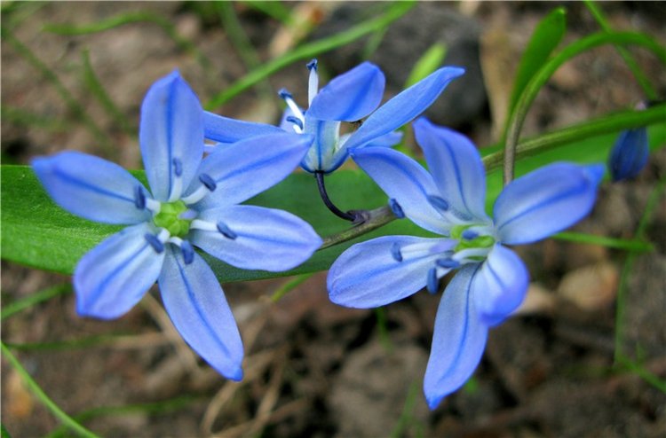 Майский день в Митино — Туризм и путешествия: фотоотчеты из поездок