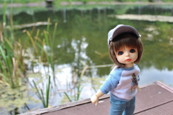 У Московского пруда. Или куда деваются утки (фото 4)