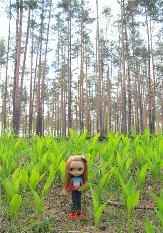 Блайзочки на природе — Оригинальные куклы Blythe (Блайз): Takara