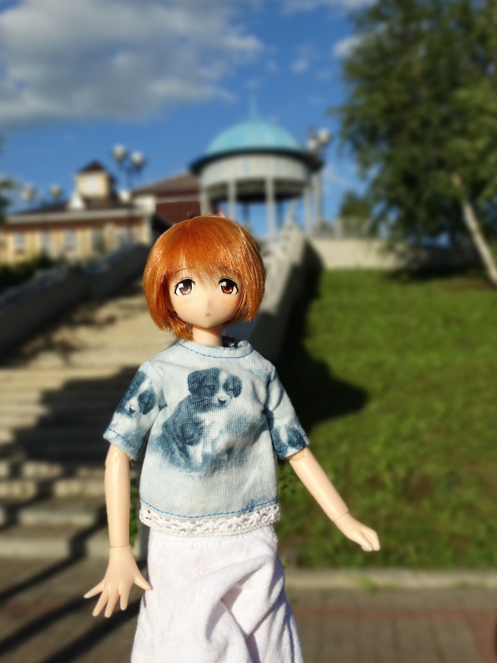 Путешествие с Азоночками Azone doll