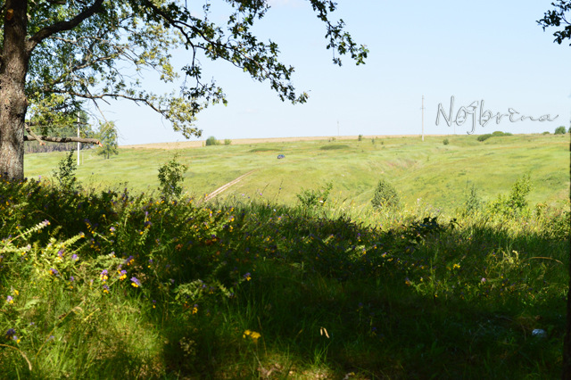 Туристы. Коллекционная кукла Линда и Среда