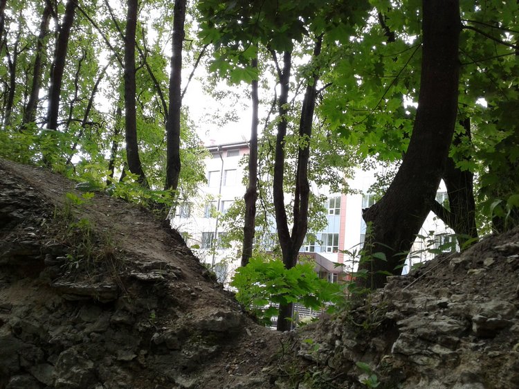 Псков: из лета в лето. Прогулки по городу и куклы