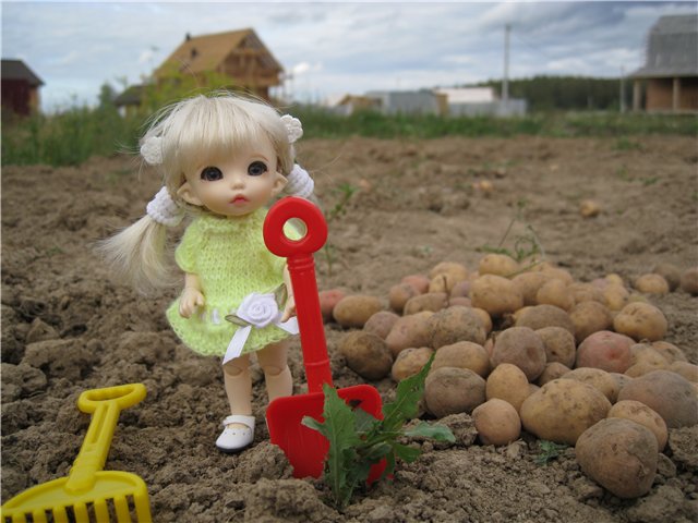 Маленькая дачница! Пукифи Анте Элис | Бэйбики Маленькая дачница! Пукифи Анте Элис