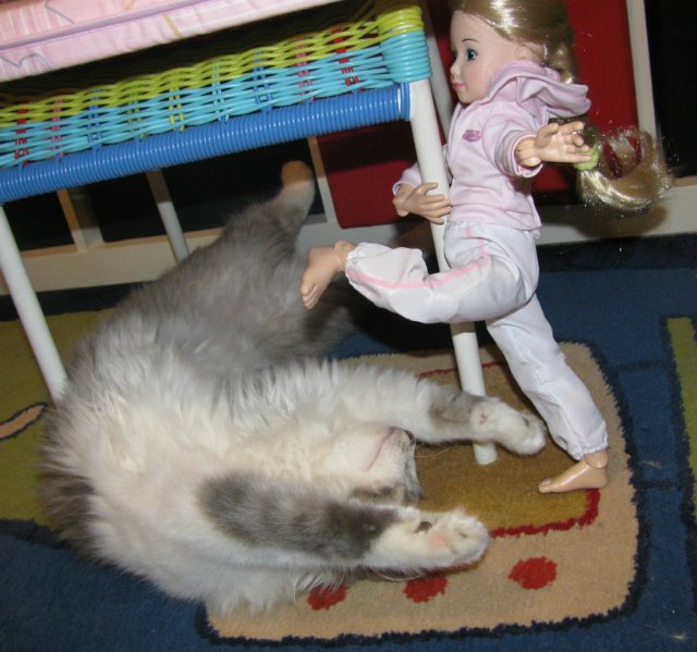 Звездные войны, эпизод десятый: Куклы против котов