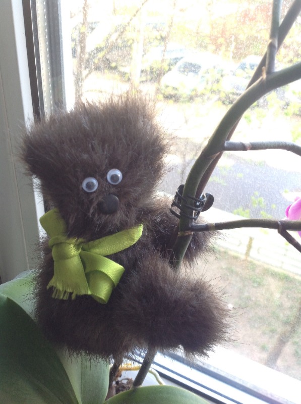 Как бы Тедди — Другие хобби и увлечения: сад (фото 4)