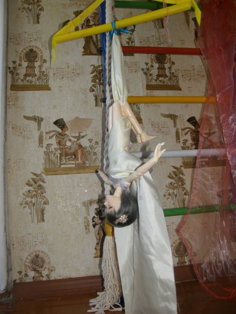 Мой маленький цирк, часть 5. Илана (МСД гибрид)