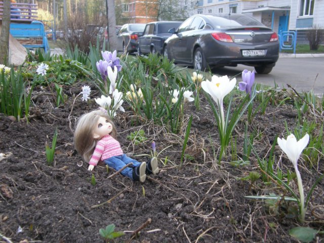 Первая вылазка на улицу. Puki fee Ante, bjd