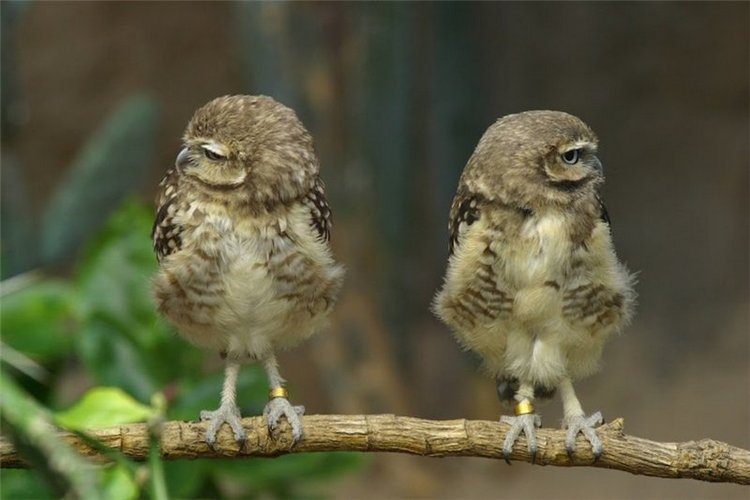 На пороге взрослой жизни — Болталка и разговоры обо всем: жизнь