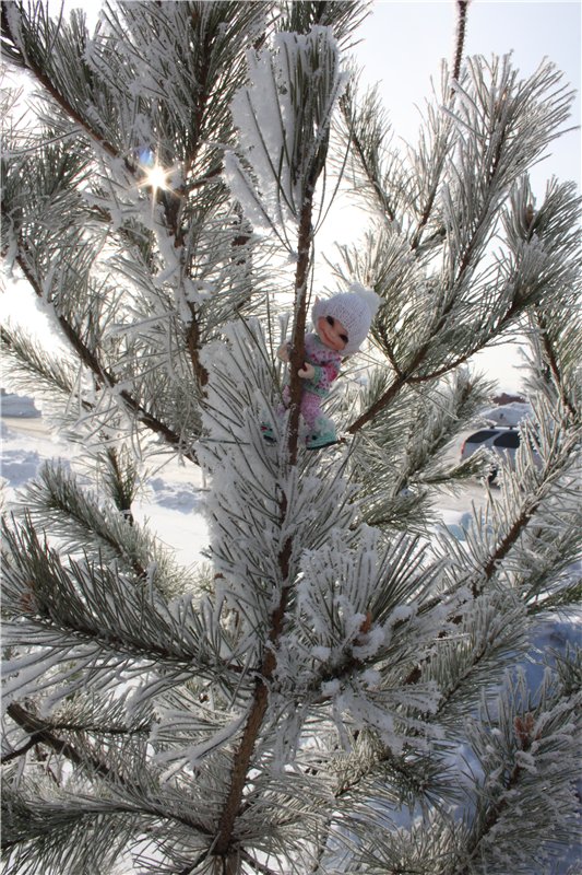 Зимняя прогулка моих крошек! Реалпуки Pupu и реалпуки Сосо