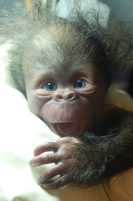 Манюня - обезьянка реборн Элины Кудрявцевой