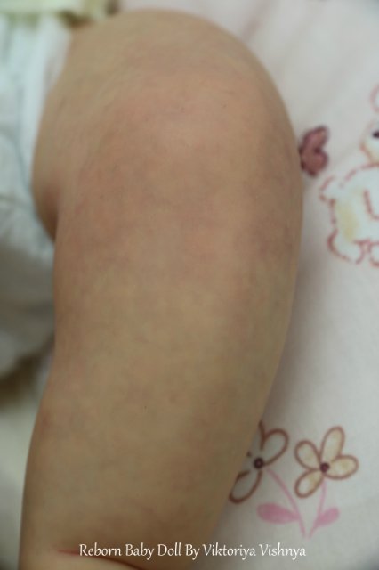 Близняшечки Ноа... Куколки реборн Виктории Вишни