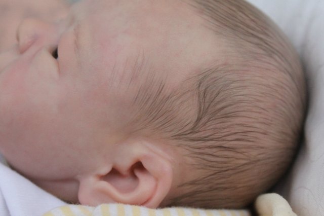 Филипка, кукла реборн Элины Кудрявцевой