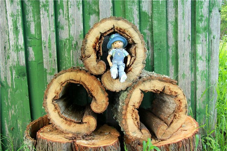 46-ой Пушкинский праздник поэзии в Берново. Часть первая