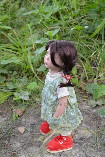 Куда пропала земляника?! Daria 2011 и Lilac 2016 от Zwergnase (фото 7)