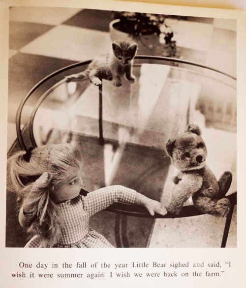 Одинокая кукла. Детский писатель Dare Wright