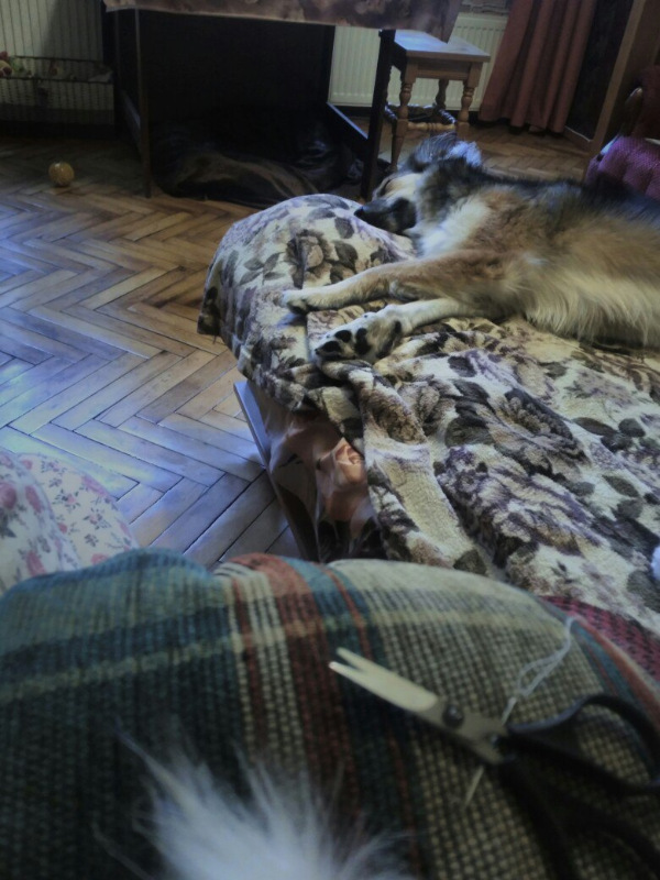 Отчёт за октябрь — Текстильные игрушки и примитивы: кофейные (фото 8)