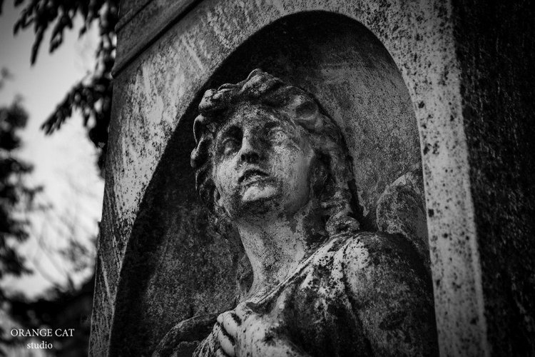 Уснувшая навсегда — Культура (фото 6)