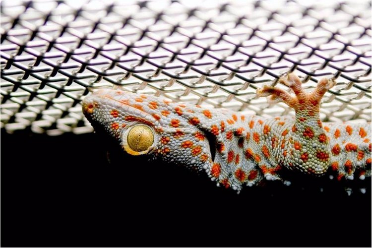 Лучшие фото National Geographic