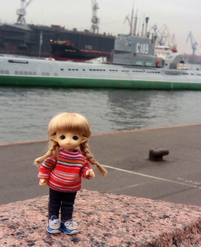 Юлька в Питере — Куклы Brownie (Брауни) Felix Doll: Tiny BJD (БЖД) (фото 4)