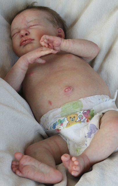 Сиренити от Екатерины Бойковой. Serenity Laura Lee Eagles