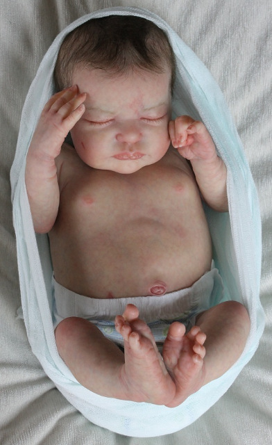 Сиренити от Екатерины Бойковой. Serenity Laura Lee Eagles