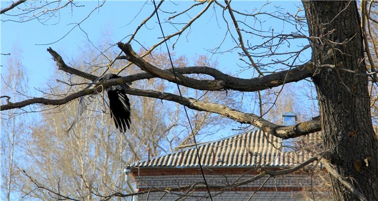 Путешествие в Бежецк, заключительная часть