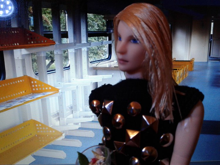 Зимнее солнце. Глава 1. Сказочный поезд