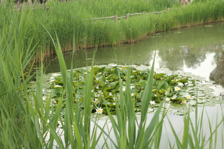 По Германии: зоопарк Лейпцига, часть 3 (фото 2)