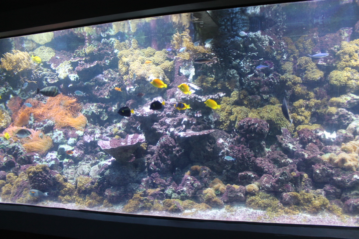 По Германии: зоопарк Лейпцига, часть 1