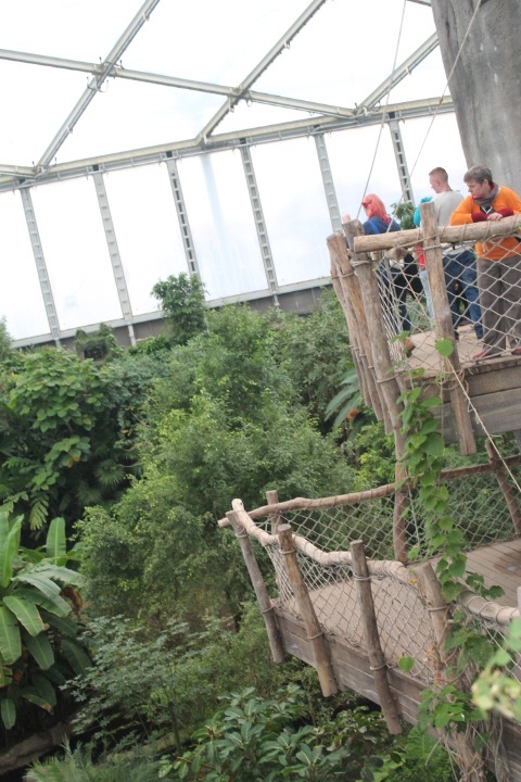 По Германии: зоопарк Лейпцига, часть 2