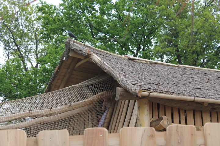 По Германии: зоопарк Лейпцига, часть 1