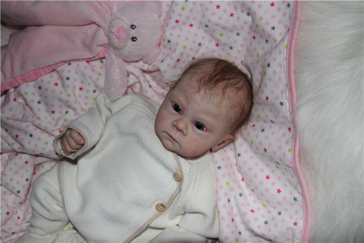 Любимый птенчик, кукла реборн Тейлор