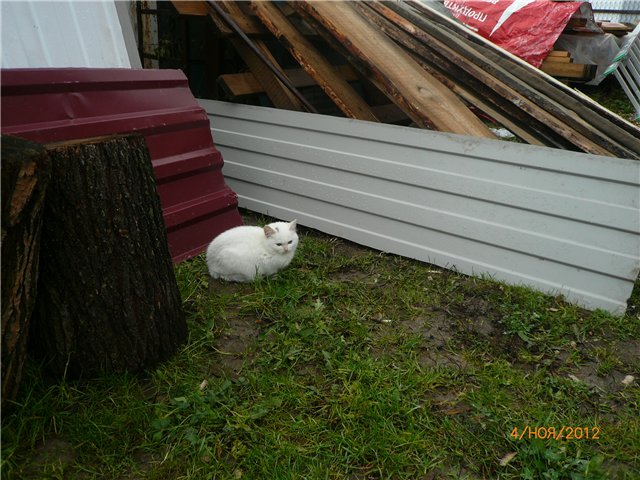 Кукла Адора - мое Солнышко