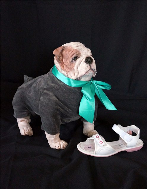 Авторские собачки Светланы Гришко (фото 9)