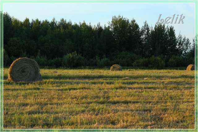 Прогулка по вечерней "Сене" с Оливией, Olivia Helen Kish (фото 2)