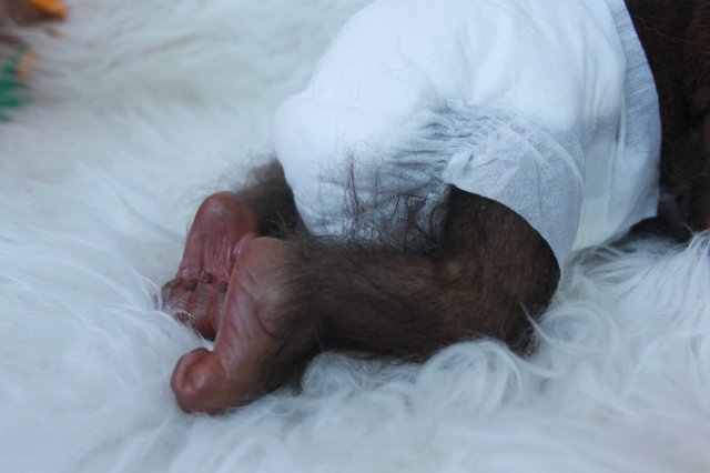 Манюня - обезьянка реборн Элины Кудрявцевой (фото 7)