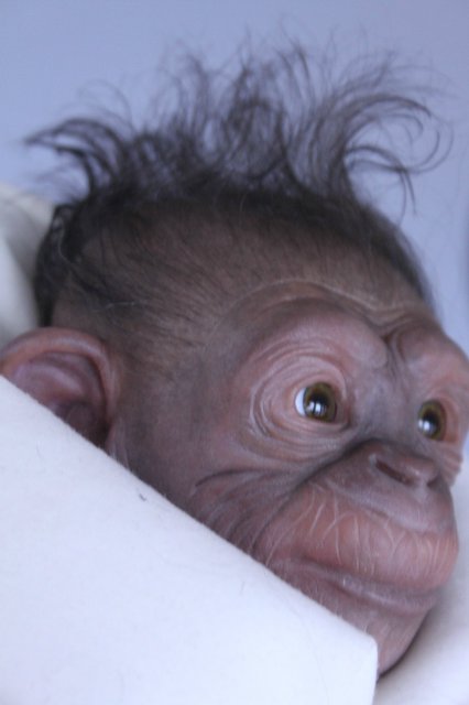 Гога, он же Гоша,он же Гора, он же Жора, здесь проживает? кукла реборн Элины Кудрявцевой (фото 6)